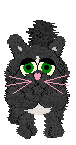 bbeau.gif (3270 bytes)