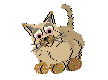 brussie.gif (2271 bytes)