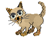 flamewalker.gif (2589 bytes)