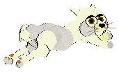 ice5.gif (2821 bytes)