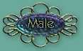 male.jpg (2246 bytes)